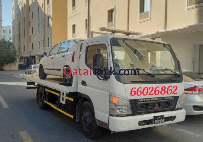 InShot_20250301_192702654